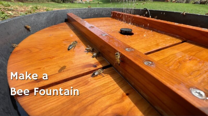 How to Make a Bee-Friendly Solar Fountain