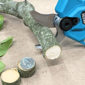 Testing the SEESII Cordless Pruning Shears - Worth It?