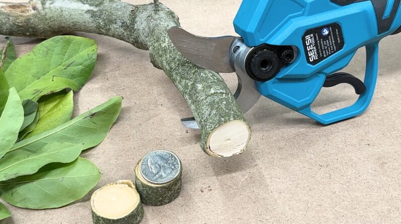 Testing the SEESII Cordless Pruning Shears - Worth It?