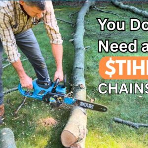 DON’T Buy an Expensive Chainsaw! - SEESII 16” Chainsaw Review