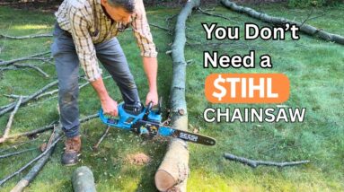DON’T Buy an Expensive Chainsaw! - SEESII 16” Chainsaw Review