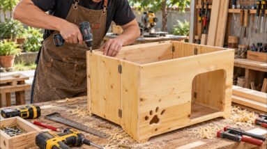 A Carpenter's Brilliant Idea! Building an Amazing Foldable Wooden Pet House
