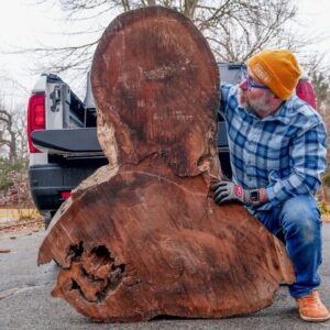 Turning this massive chunk of walnut into a lamp sculpture.