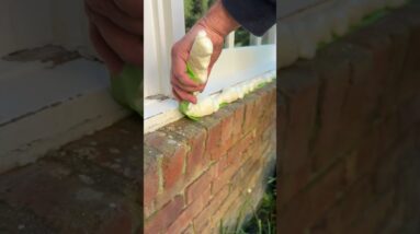 Windowsill Repair - getting ready for winter